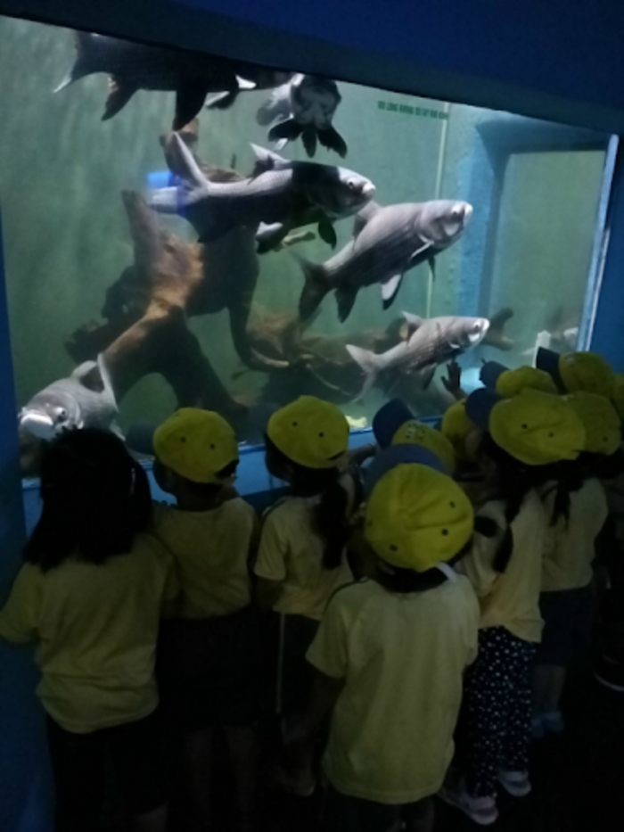 Thủy cung đẹp ở Việt Nam - Thủy cung Đầm Sen