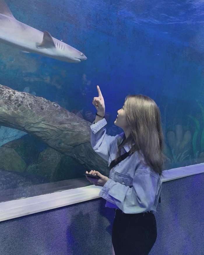 Thủy cung đẹp ở Việt Nam - Thủy cung Suối Tiên