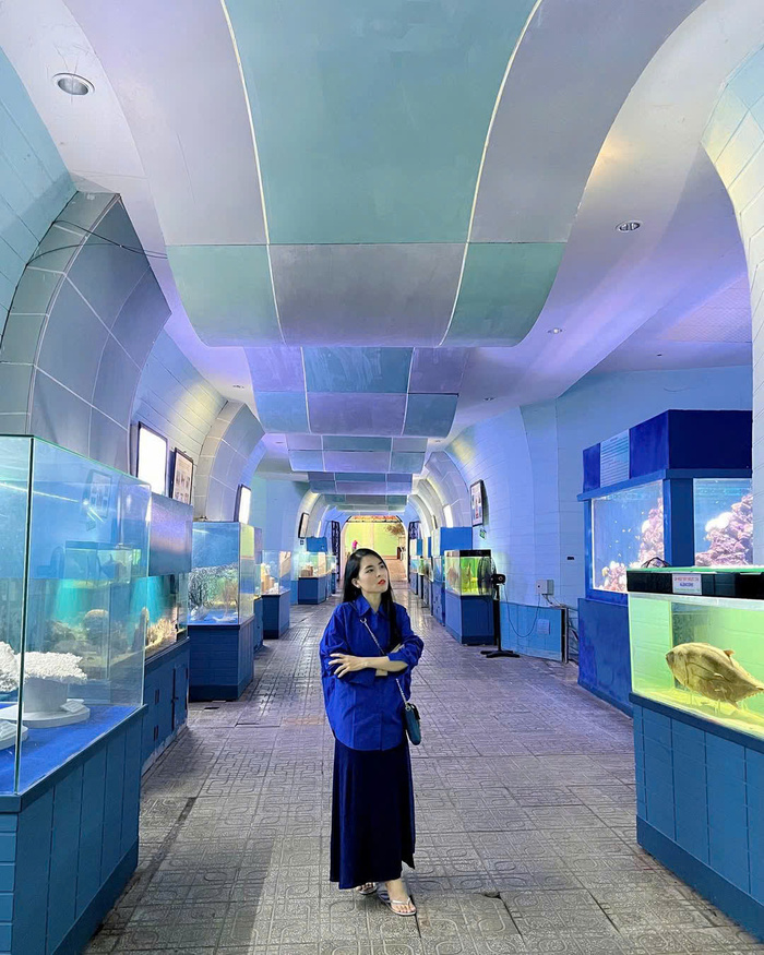 Thủy cung đẹp ở Việt Nam - Viện hải dương học Nha Trang