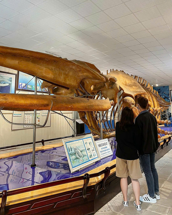 Thủy cung đẹp ở Việt Nam - Viện hải dương học Nha Trang