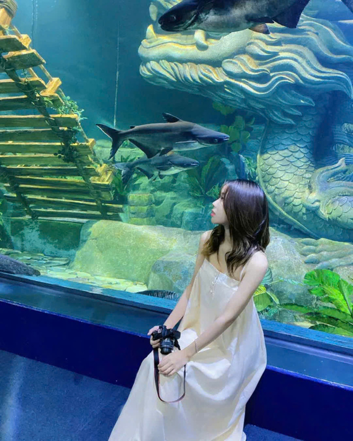 Thủy cung đẹp ở Việt Nam - Viện hải dương học Nha Trang