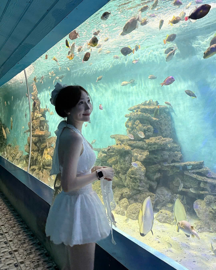 Thủy cung đẹp ở Việt Nam - Viện hải dương học Nha Trang