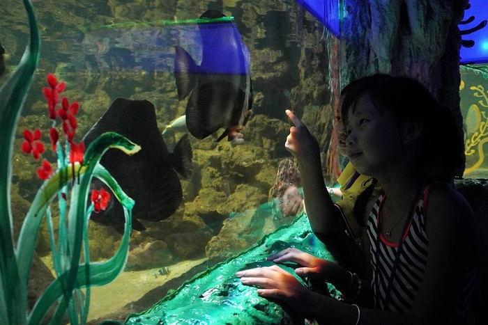 Thủy cung đẹp ở Việt Nam - Thủy cung Suối Tiên