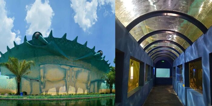 Thủy cung đẹp ở Việt Nam - Thủy cung Đầm Sen