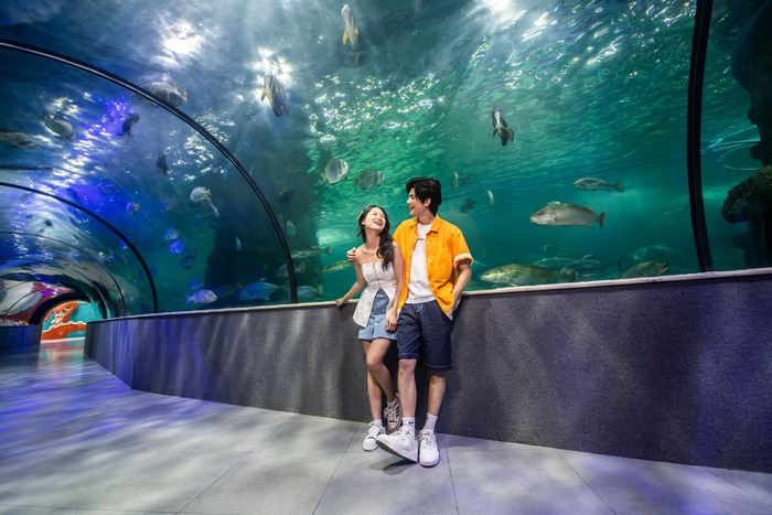 Thủy cung đẹp ở Việt Nam - Vinpearl Aquarium Times City