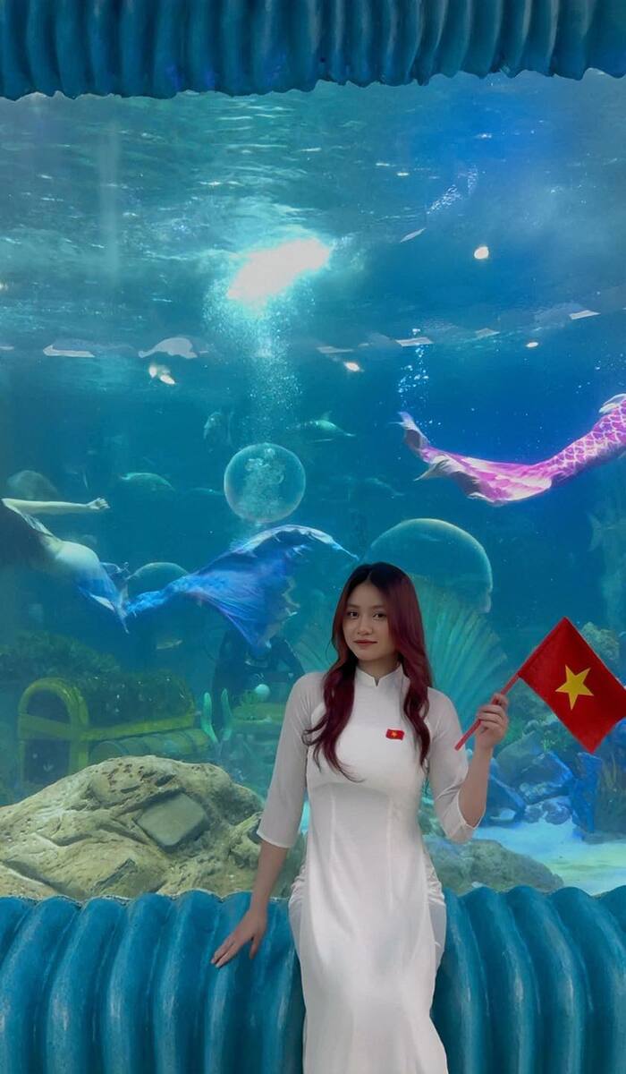 Thủy cung đẹp ở Việt Nam - Vinpearl Aquarium Times City