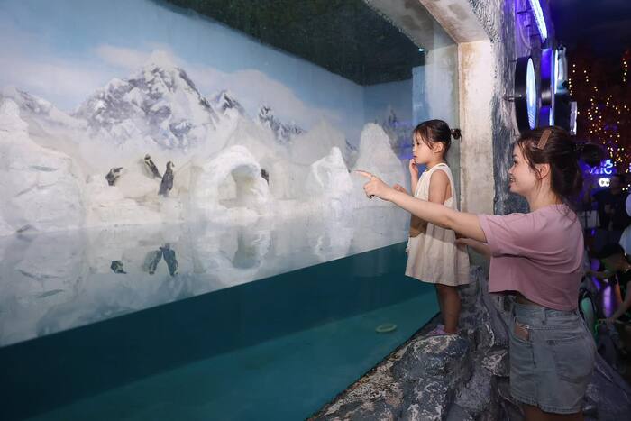 Thủy cung đẹp ở Việt Nam - Vinpearl Aquarium Times City