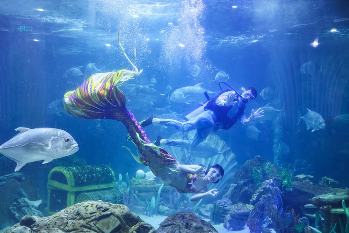 Thủy cung đẹp ở Việt Nam - Vinpearl Aquarium Times City