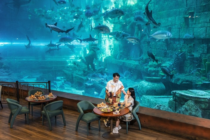 Thủy cung đẹp ở Việt Nam - Thủy cung VinWonders Phú Quốc