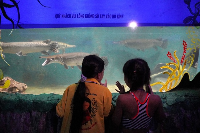 Thủy cung đẹp ở Việt Nam - Thủy cung Suối Tiên