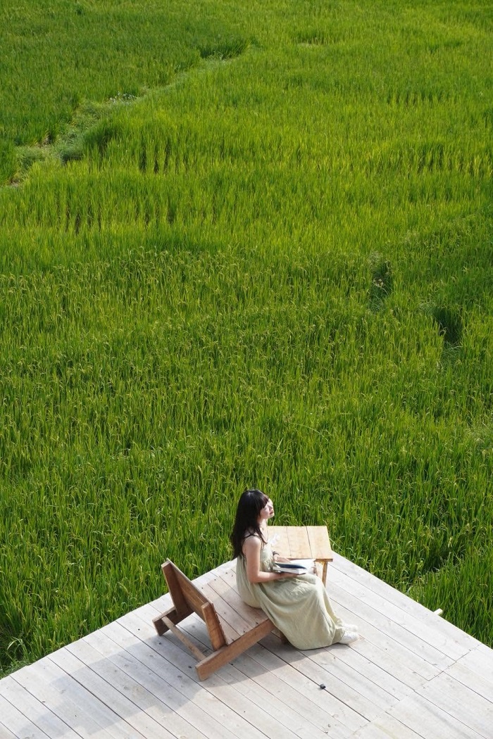 Lá Coffee Sapa hứa hẹn mang đến nhiều điều tuyệt vời