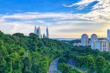 Khám phá công viên Kent Ridge Singapore như một khu rừng thu nhỏ  