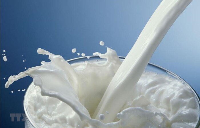 Sữa tươi ở đâu ngon nhất? Không phải vùng nào tại Việt Nam cũng thích hợp và đủ điều kiện để sản xuất sữa tươi