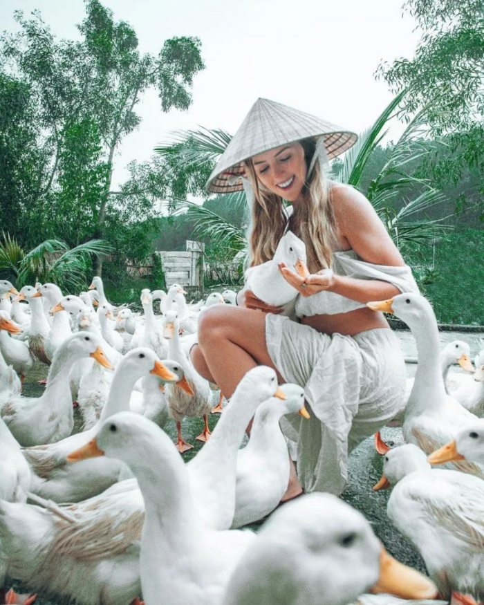 The Duck Stop Phong Nha The Duck Stop Phong Nha