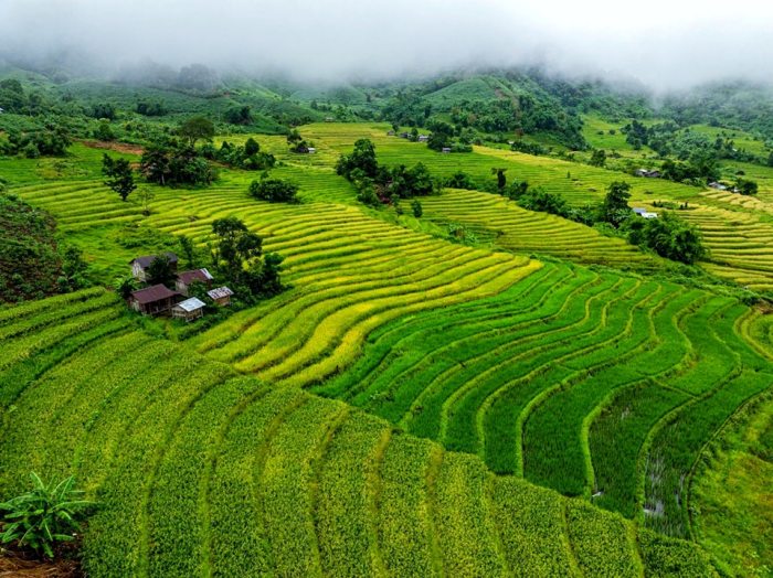 ruộng bậc thang ở Quảng Nam