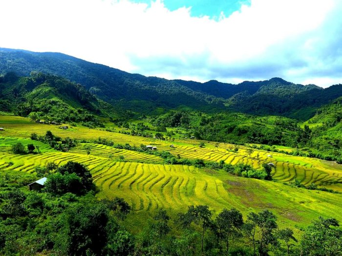  ruộng bậc thang ở Quảng Nam