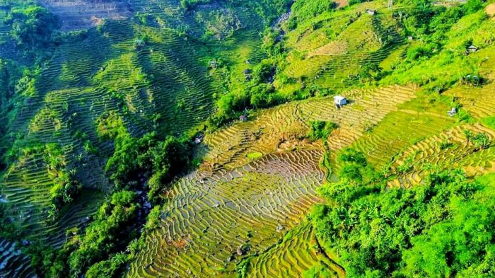  ruộng bậc thang ở Quảng Nam