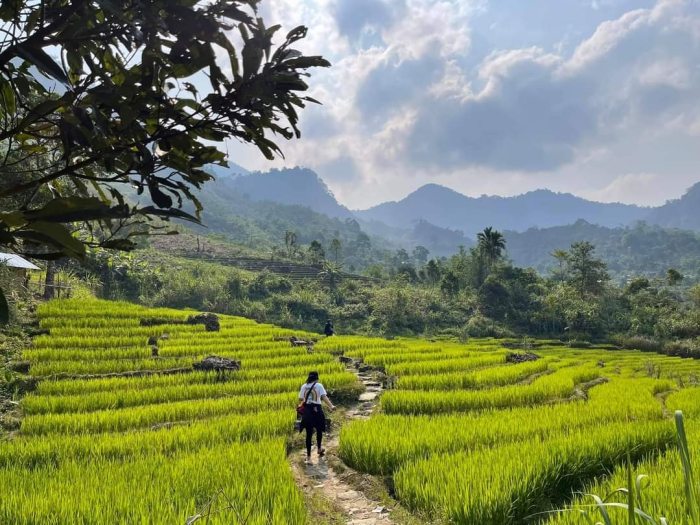  ruộng bậc thang ở Quảng Nam