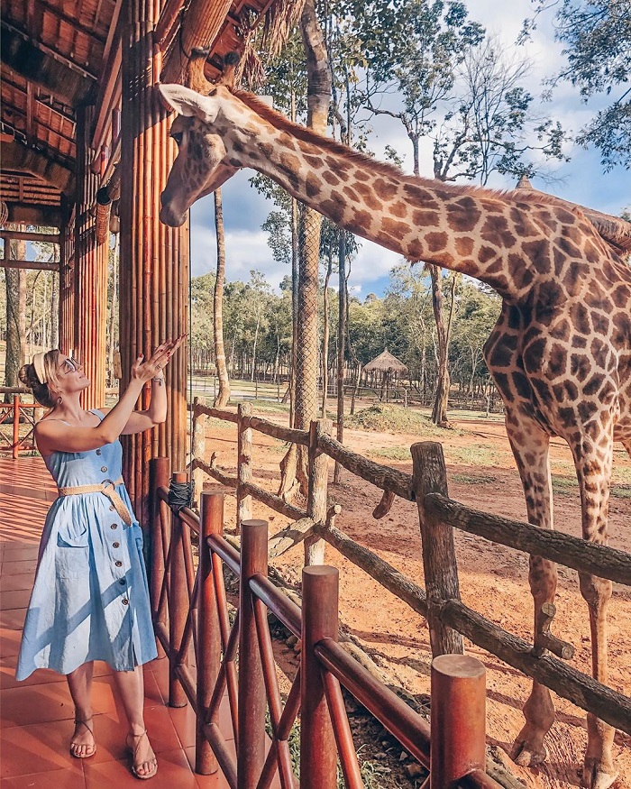 Ghé thăm Phú Quốc Safari để thăm quan thế giới động vật diệu kỳ tại Điểm đến chữa lành tại Việt Nam