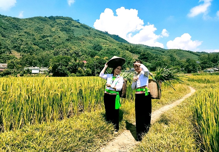 Lễ hội rửa lá lúa ở Hòa Bình để tỏ lòng biết ơn tới tổ tiên cũng như mong cầu mùa màng tốt tươi