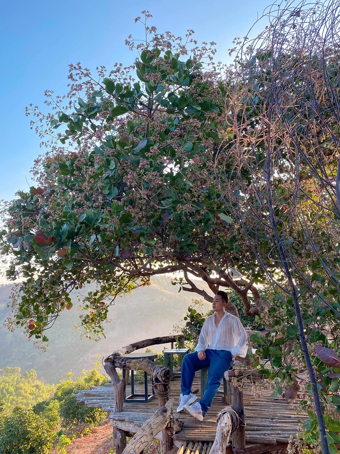 Góc nào tại khu du lịch Tà Đùng Đắk Nông cũng check in tuyệt đẹp