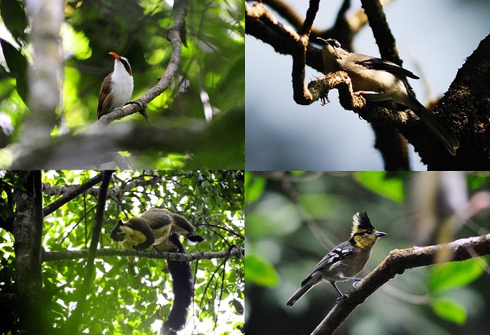 Hệ sinh thái đa dạng đang chờ bạn khám phá Tà Đùng Đắk Nông