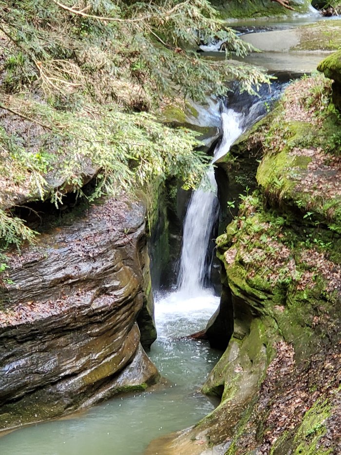 cao nguyên Cameron Malaysia