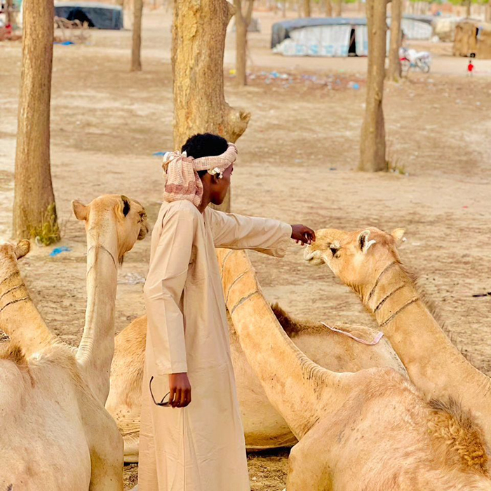 Phương tiện di chuyển khi du lịch Chad