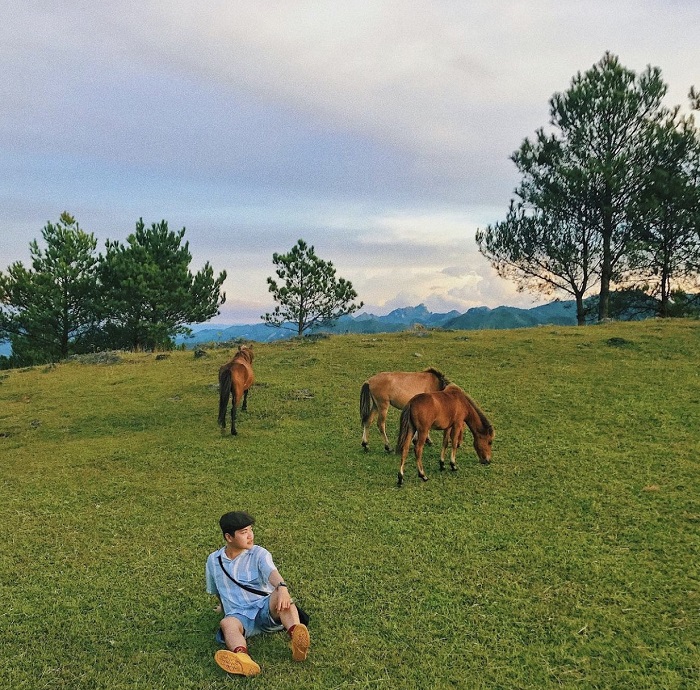 Bạn có thể du lịch Háng Đồng Sơn La bằng bất kỳ phương tiện nào