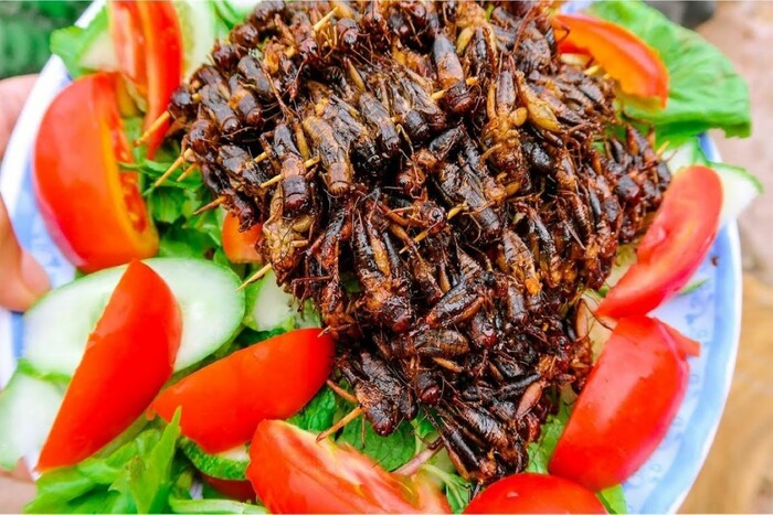 du lịch Kon Tum ăn gì? Thưởng thức dế chiên