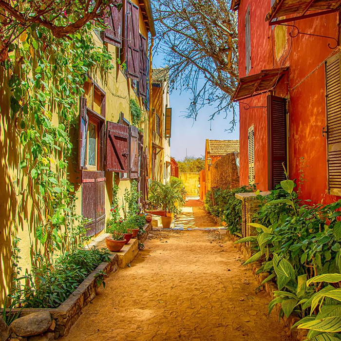 Phương tiện di chuyển khi du lịch Senegal