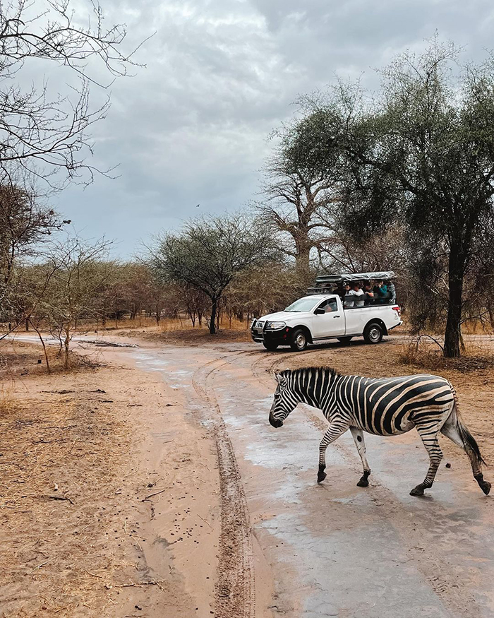 Khám phá du lịch Senegal bằng phương tiện công cộng
