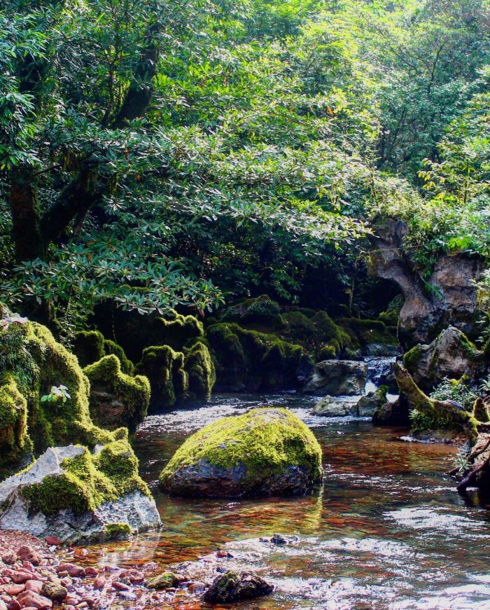 lịch trình khám phá hang Trạ Ang