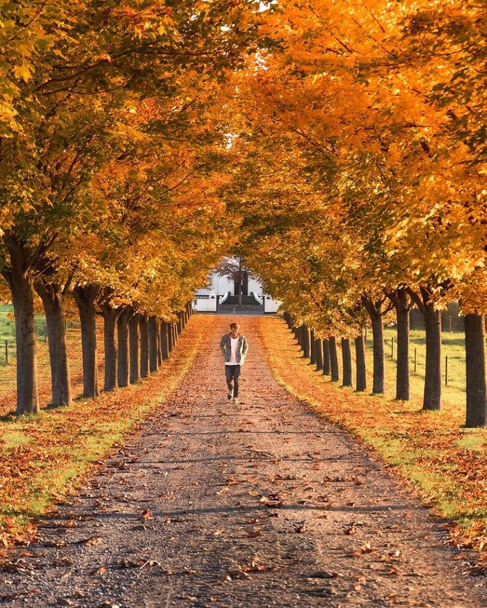 Kinh nghiệm du lịch Copenhagen