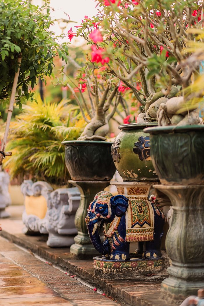 “Miền Tây Thương Lắm”