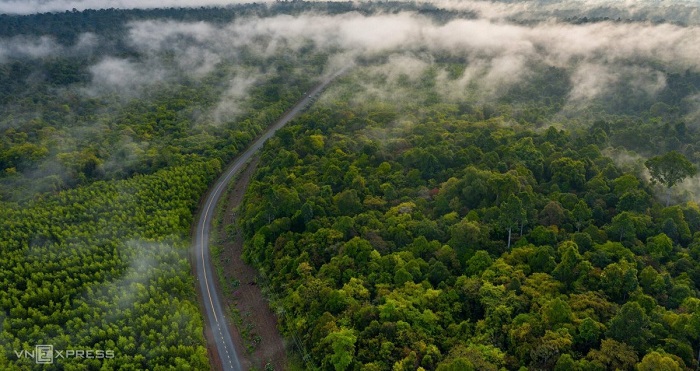 Mùa bướm rừng Mã Đà nhìn từ trên cao