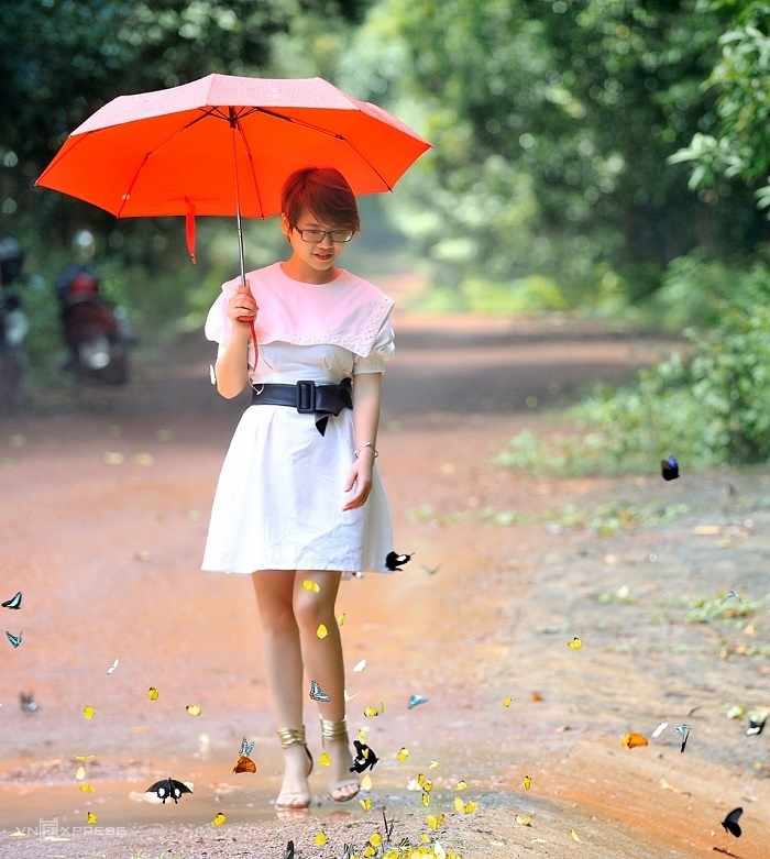 Mùa bướm rừng Mã Đà có vô số loài bướm khác nhau tạo nên những mảng màu đa dạng