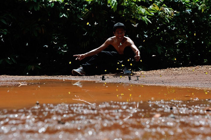 Nhiều người tới mùa bướm rừng Mã Đà để săn ảnh đẹp