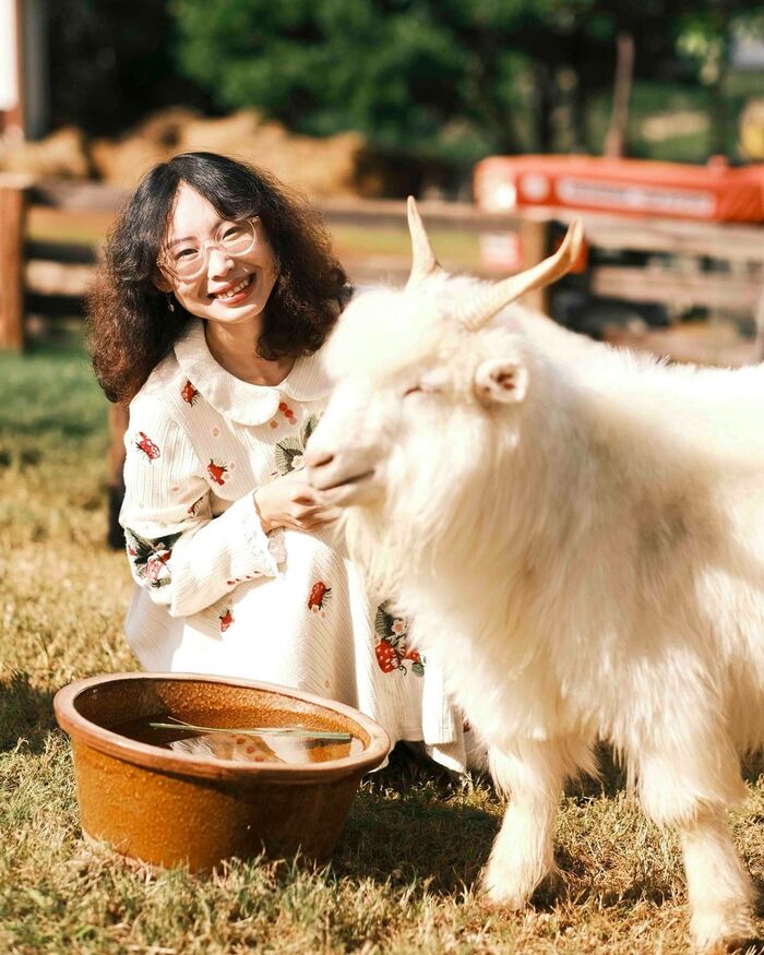 khám phá các địa điểm du lịch gần thác Voi Đà Lạt 