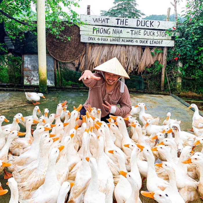 The Duck Stop Phong Nha The Duck Stop Phong Nha