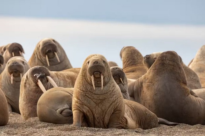 trải nghiệm du lịch thú vị tại Na Uy