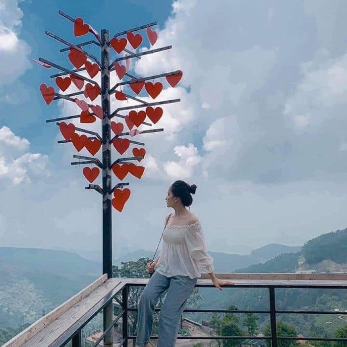 Sống ảo mọi góc tại Tam Đảo