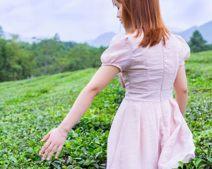 chơi gì ở Phú Thọ? ghé đồi chè Long Cốc