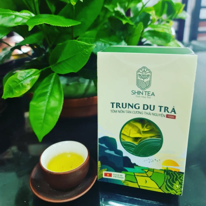 du lịch thái nguyên mua chè tân cương làm quà