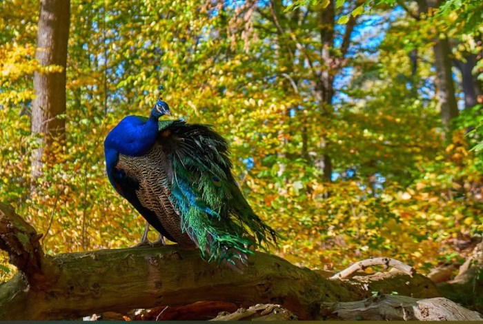 du lịch gần thủ đô berlin