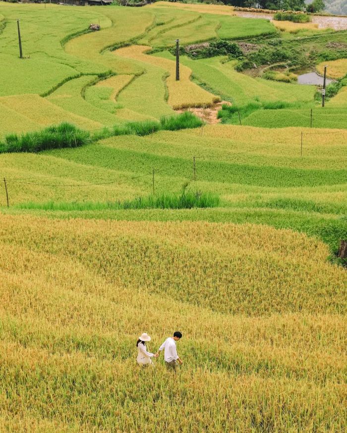 Kinh nghiệm du lịch 2/9 Hà Giang Kinh nghiệm du lịch 2/9 Hà Giang
