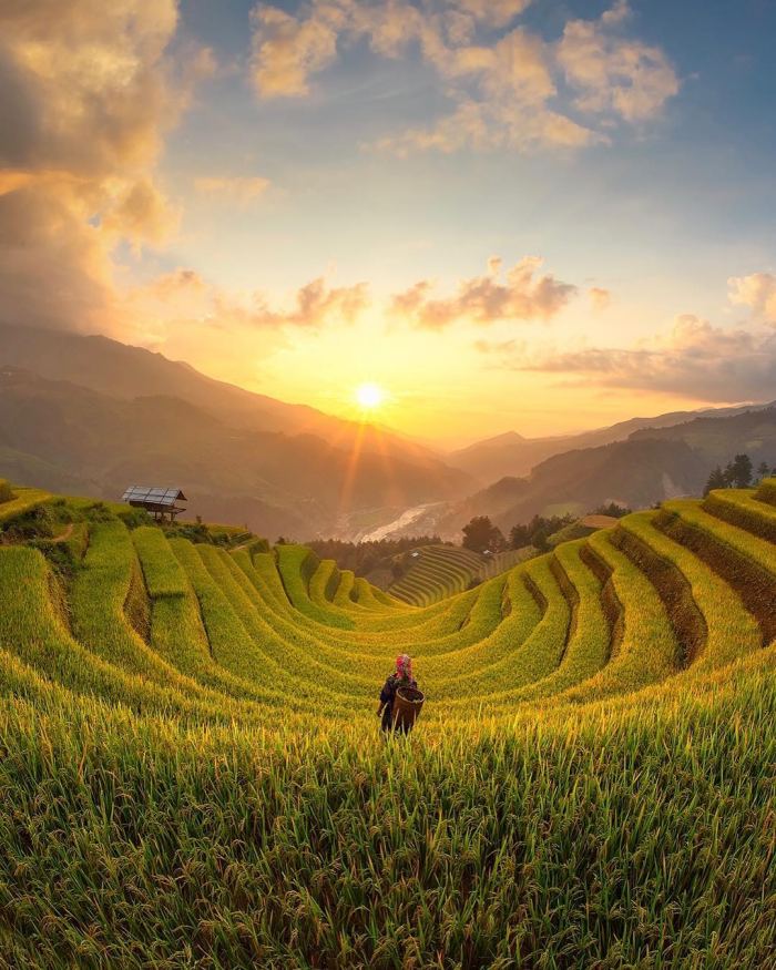 kinh nghiệm du lịch 2/9 Mù Cang Chải kinh nghiệm du lịch 2/9 Mù Cang Chải