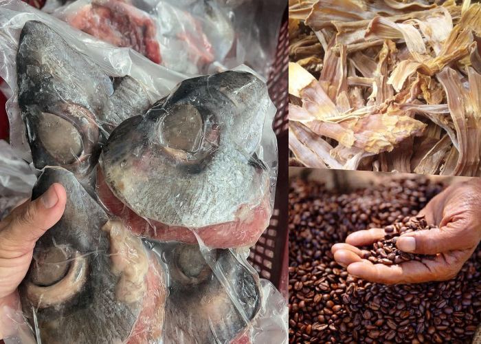 Cẩm nang du lịch Đắk Lắk sau sáp nhập 