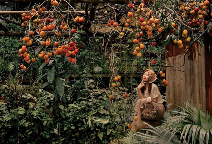 kinh nghiệm du lịch 2/9 Đà Lạt kinh nghiệm du lịch 2/9 Đà Lạt