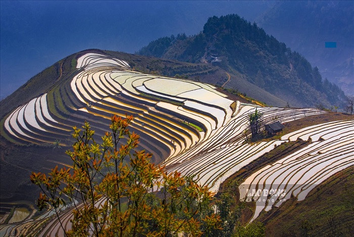 Bản Cu Vai Yên Bái Lào Cai đẹp quanh năm